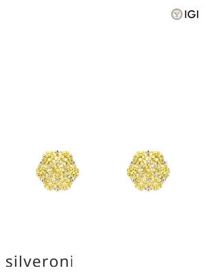 0.30 Carat Round Yellow Lab Grown Diamond Flower Cluster Stud Earrings - 3