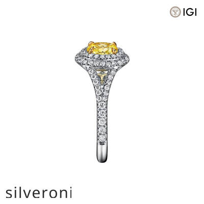 0.55 Carat Oval Lab Grown Diamond Double Halo Engagement Ring in Platinum - 2